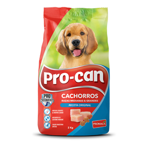 Cachorros razas medianas y grandes