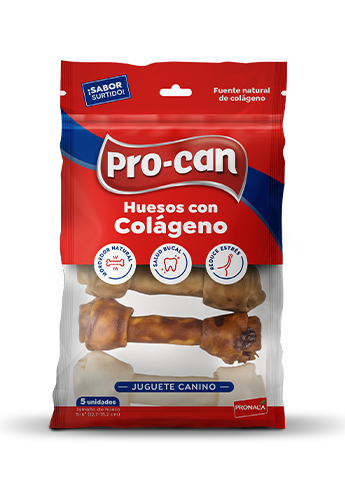Huesos